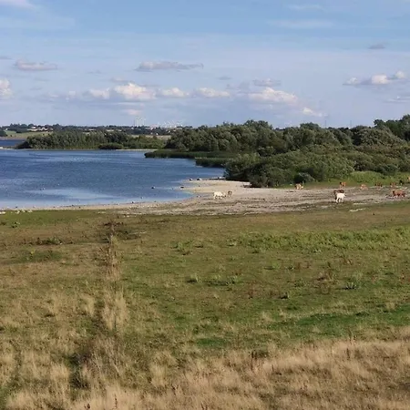 Vakantiehuis 8 Person In Store Fuglede-by Traum