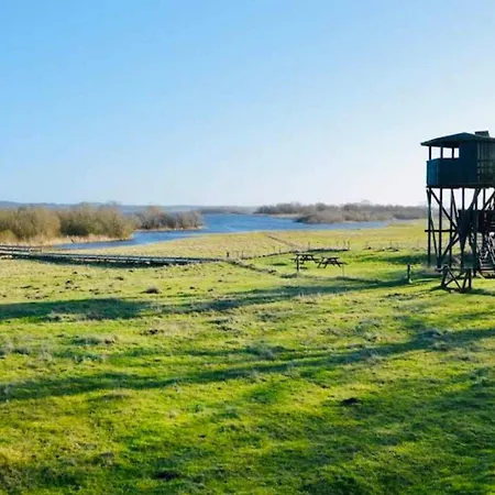 8 Person In Store Fuglede-by Traum