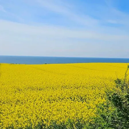 8 Person In Store Fuglede-by Traum Vakantiehuis Store Fuglede