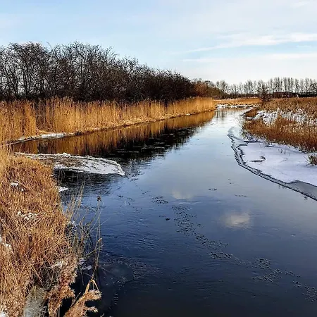 8 Person In Store Fuglede-by Traum *