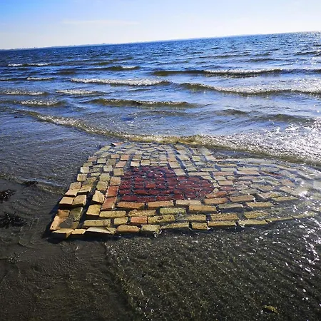 Vakantiehuis 8 Person In Store Fuglede-by Traum *