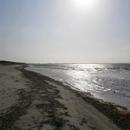 Vakantiehuis 8 Person In Store Fuglede-by Traum *