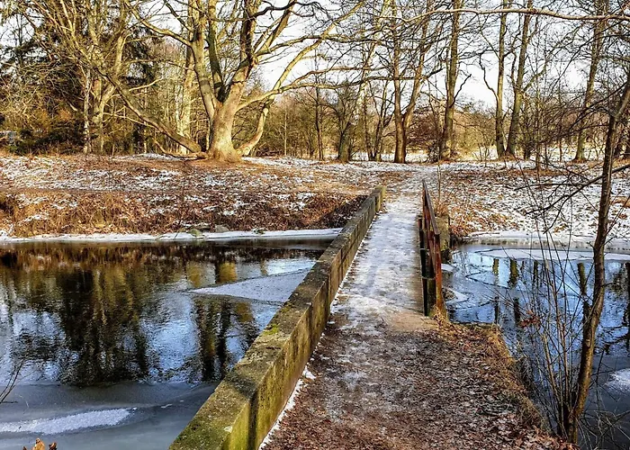 8 Person In Store Fuglede-by Traum *